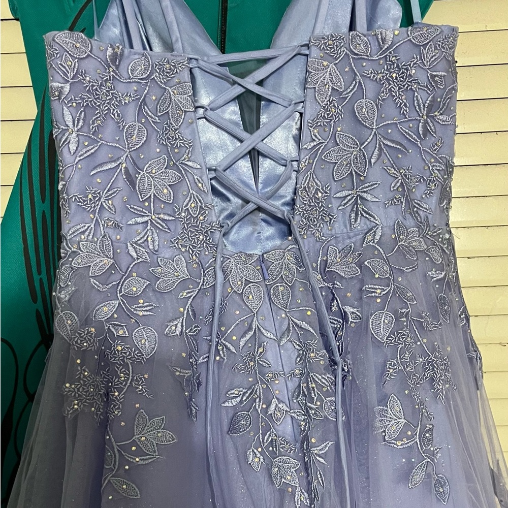 Size 16 prom dress